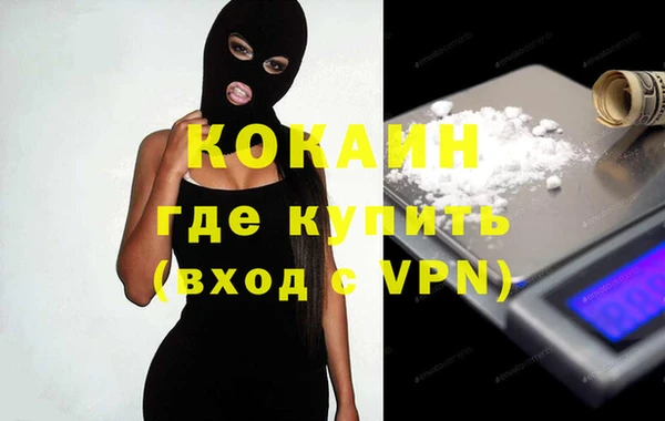 гидра Бородино