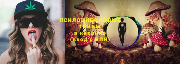 спиды Верея