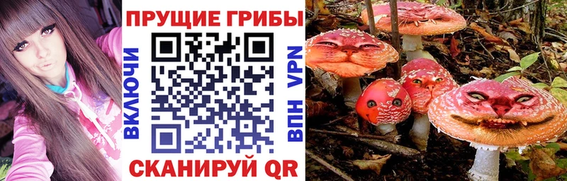 Псилоцибиновые грибы MAGIC MUSHROOMS  наркошоп  Кемь 